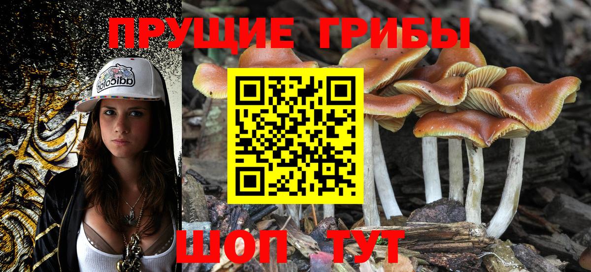 Псилоцибиновые грибы Psilocybine cubensis  Вход с VPN  Майский 